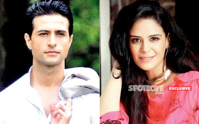 Apurva Agnihotri On Kehne Ko Humsafar Hai: 'I Was Initially Supposed To Appear In Only Two Scenes With Mona Singh'- EXCLUSIVE