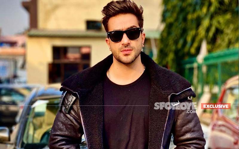 Bigg Boss 14: Here Is Why Aly Goni Opted Out Of The Show?- EXCLUSIVE