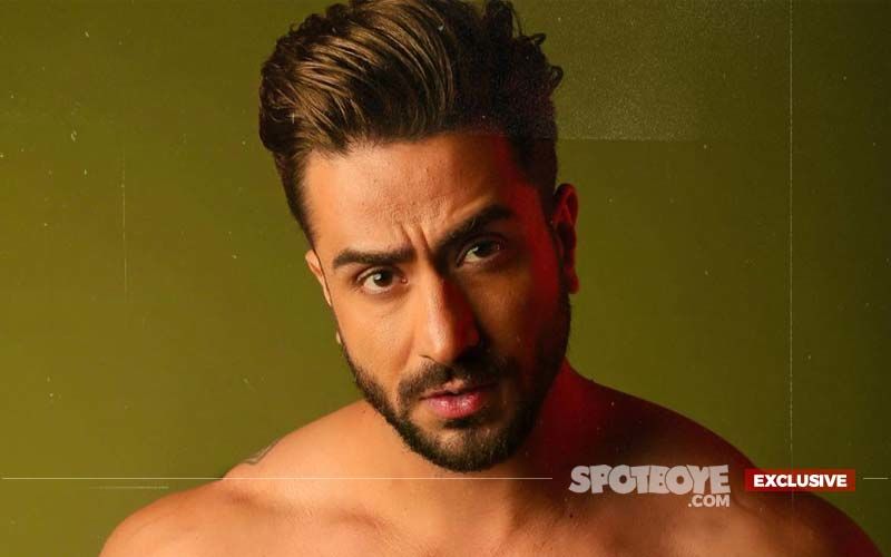 Bigg Boss 14: Aly Goni Ditches The Controversial Reality Show For Boney Kapoor's Zidd- EXCLUSIVE