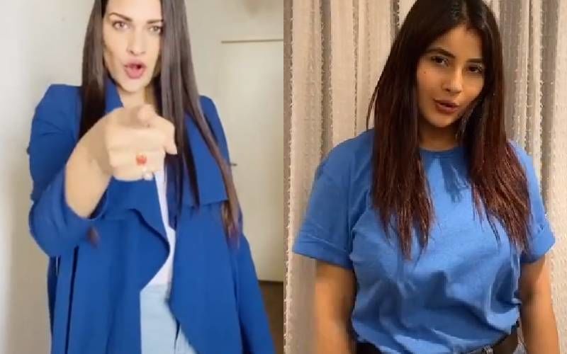 Shehnaaz Gill Vs Himanshi Khurana Face-Off: Whose Swag Se Solo TikTok Video Will You Stan?