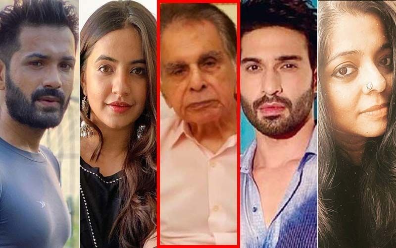 Dilip Kumar Passes Away: Mrunal Jain, Meera Deosthale, Vijayendra Kumeria, Nivedita Basu, Hasan Zaidi Remember Thespian's Power-Packed Films