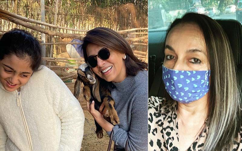 Neetu Kapoor Gives A Glimpse Of ‘Forest Life’ In Ranthambore Sans Ranbir-Alia; Soni Razdan Is ‘Petrified’ As A Tiger Walked Right Behind Their Jeep