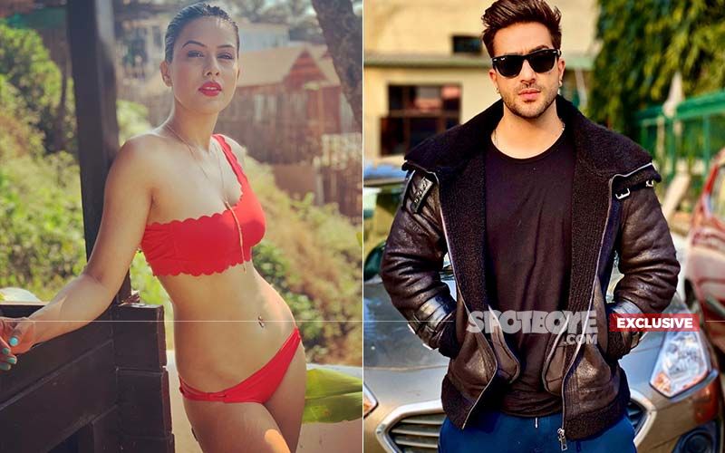 After Nia Sharma, Aly Goni Makes It To Khatron Ke Khiladi Reloaded- EXCLUSIVE