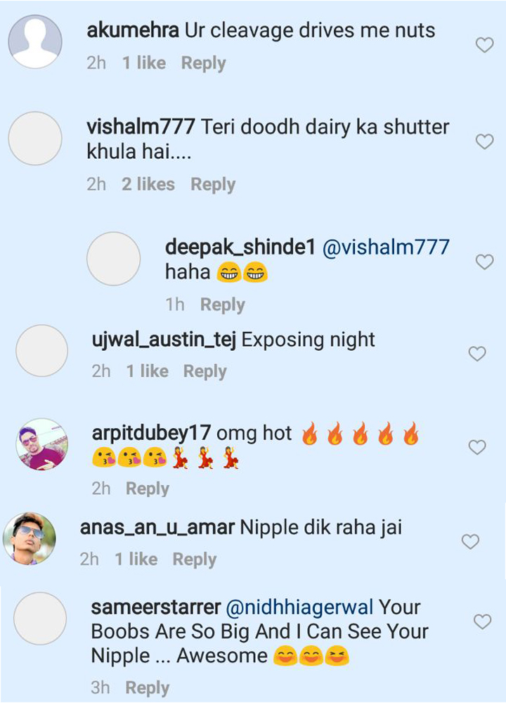 nidhhi agerwal gets trolled on instagram for her breasts pic