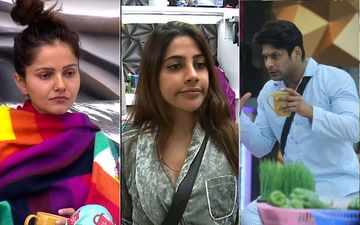 Bigg Boss 14 Day 12 SPOILER: Nikki Tamboli Flaunts Privileges, Leaving Seniors And Rubina Dilaik Irked; Jaan Kumar Sanu Confesses He Loves Nikki