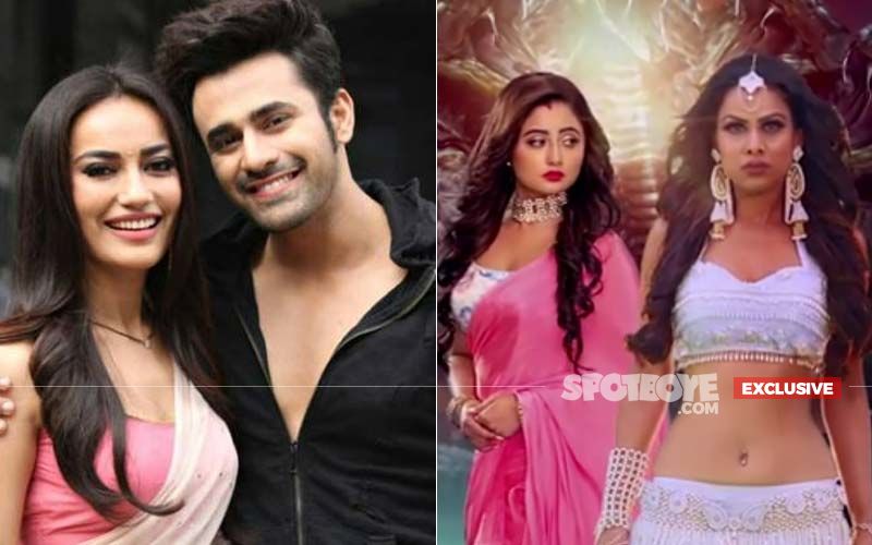 Naagin 4 Finale To Witness A Splash By BeHir: Bela And Mahir AKA Surbhi Jyoti And Pearl V Puri To Be Seen In The Closing Episode? - EXCLUSIVE