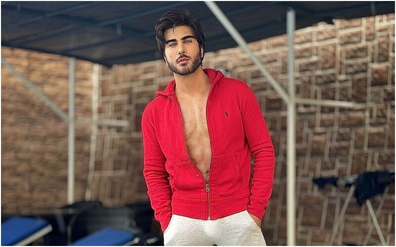 WHAT! Pakistani Actor Imran Abbas Claims He Rejected Aashiqui 2, PK, Guzarish, Ram Leela And Heeramandi, Netizens Say 'Lambi Lambi Fekta Hai' - WATCH