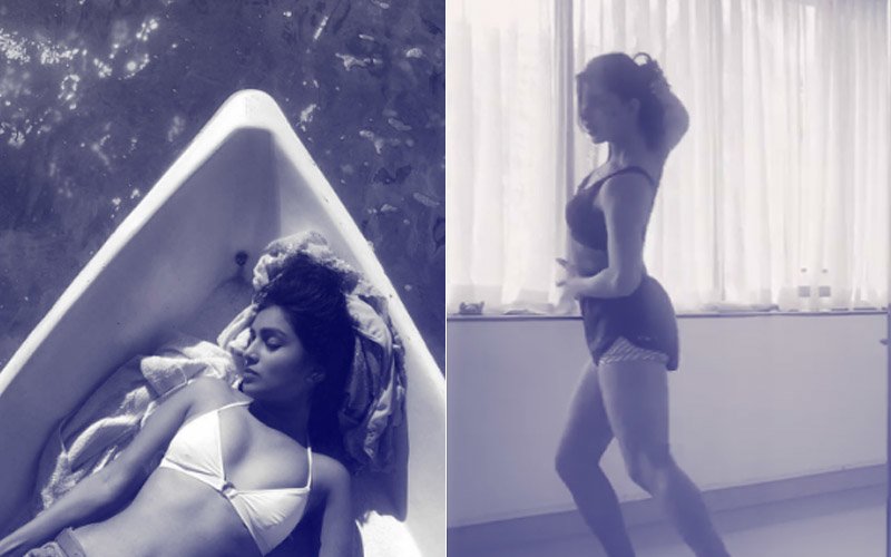 Tuesday Tadka: Bikini Babe Pallavi Sharda & Jacqueline Fernandez Raise The Temperatures