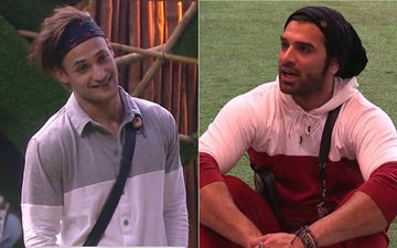 Bigg Boss 13: Have You Seen Paras Chhabra-Asim Riaz’s Ujda Chaman 'Bald