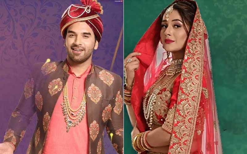 Mujhse Shaadi Karoge: Paras Chhabra-Shehnaaz Gill Reveal Their Game Plan; Has Bigg Boss 13 Connect