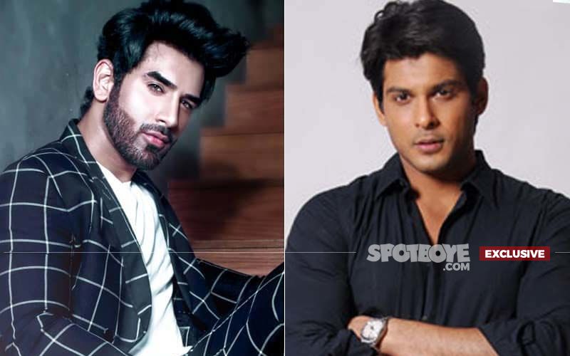 Bigg Boss 13 Paras Chhabra-Sidharth Shukla Fight: Former Needs English Tuition, Unaware Of The Difference Between Counselling And Rehab- EXCLUSIVE