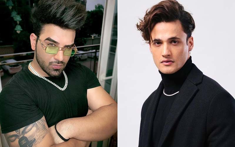 WHAT! Foes Turned Friends, Bigg Boss 13's Paras Chhabra And Asim Riaz Bury The Hatchet And Become Friends!