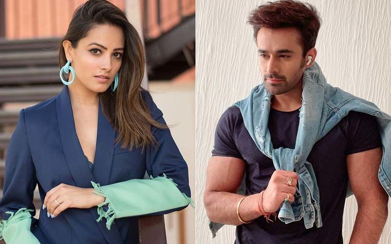 Pearl V Puri Arrested For Rape; Naagin Co-star Anita Hassanandani Says, 'It's Not True, Cannot Be True All Lies'
