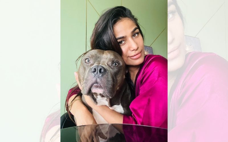 Fire Breaks Out At Poonam Pandey’s High-Rise Residence; Actress’ Pet Dog Ceaser Rescued By The Maid- Read Reports