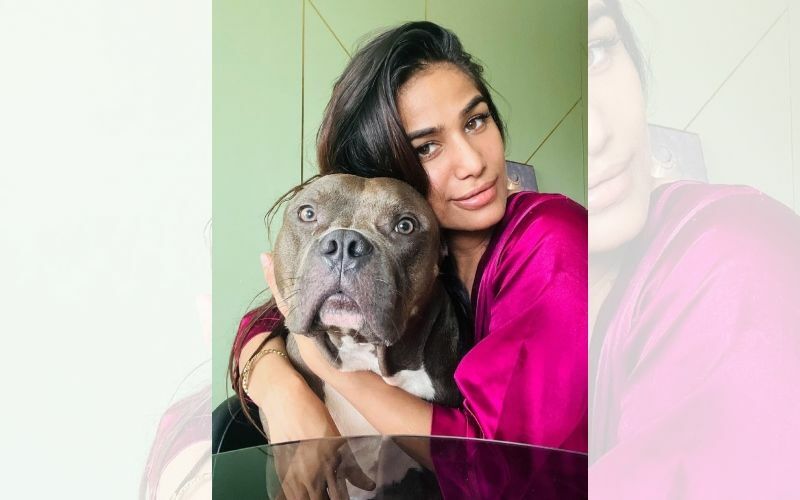 Poonam Pandey DEATH: Actress Passes Away From Cervical Cancer? News Shared On Her Official Instagram Leaves Fans In Shock