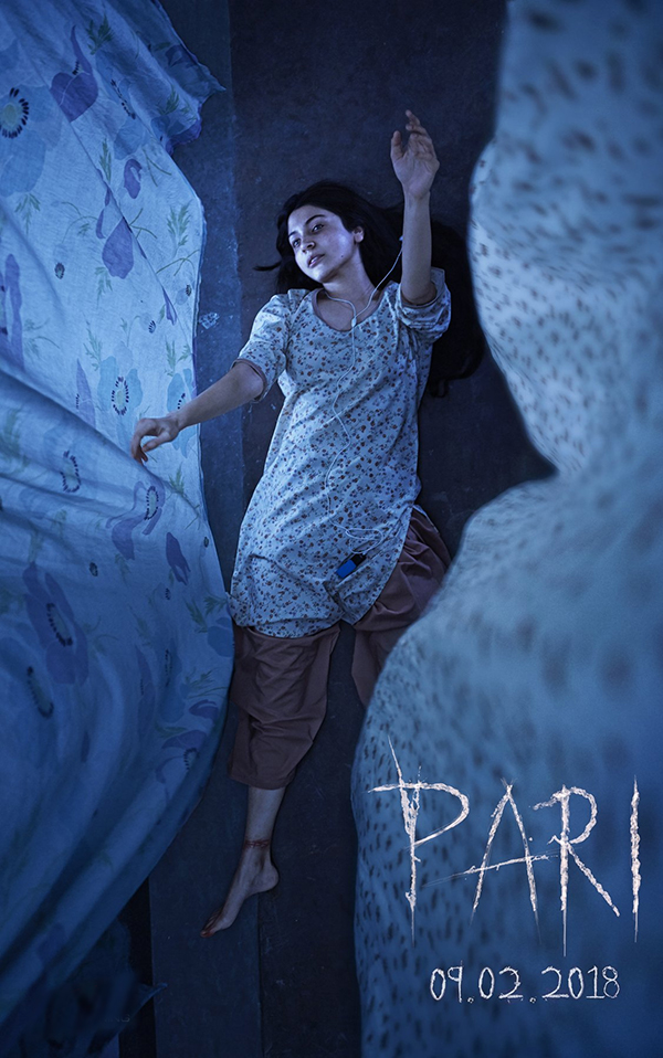 poster of pari