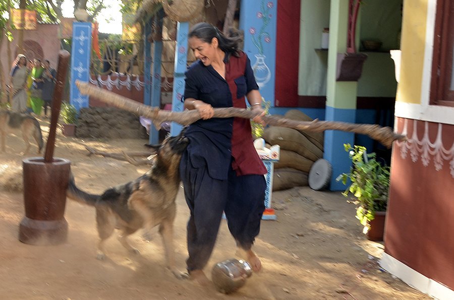 prachi tehlan bitten by a german shepard dog prachi tehlan bitten by a german shepard dog