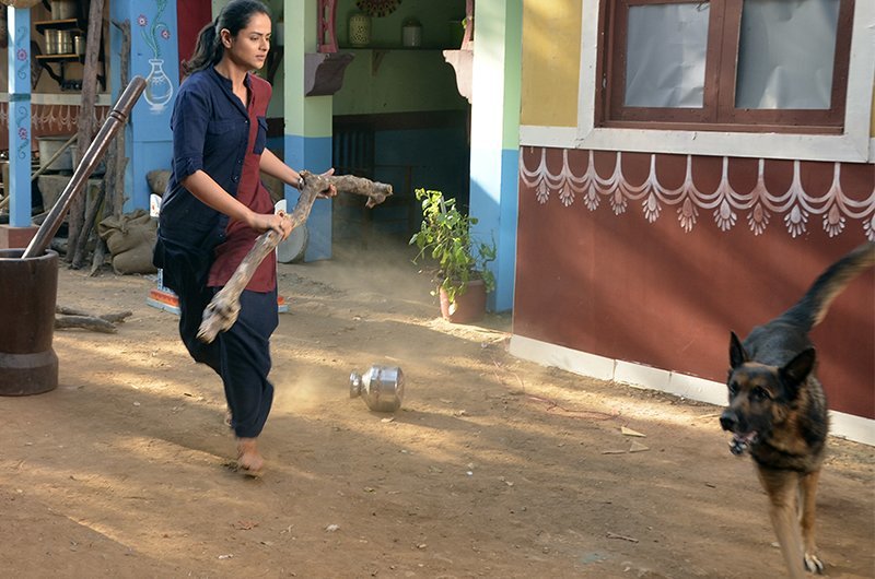 prachi tehlan surrounded by the dog prachi tehlan surrounded by the dog