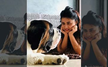 Prarthana Behere's Cute Post With Gabbar Is Trending On Instagram