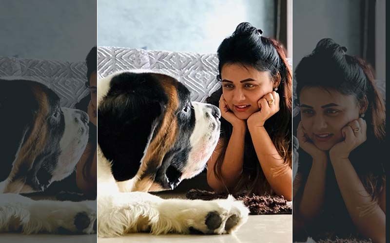 Prarthana Behere's Cute Post With Gabbar Is Trending On Instagram