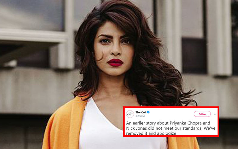 Priyanka Chopra’s Reaction On The Cut Calling Her A “Scam Artiste” Shows Her Inner Strength