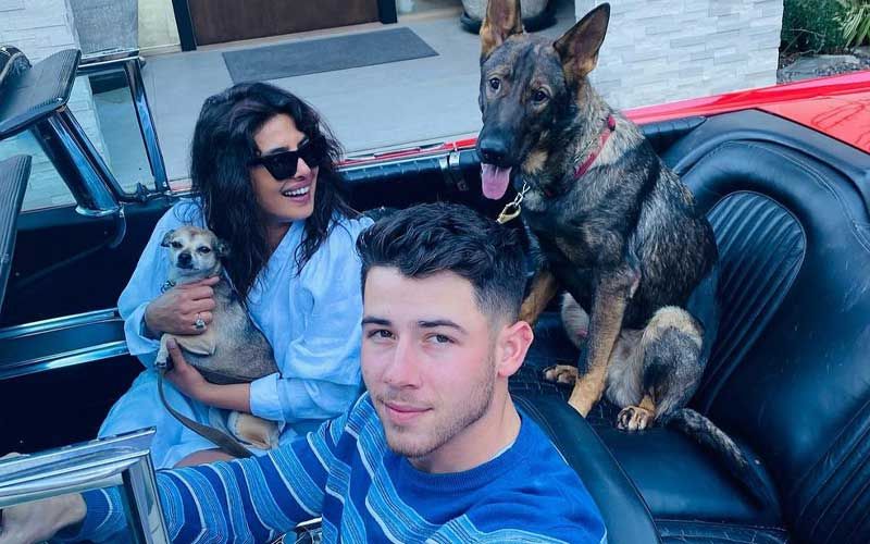 Priyanka Chopra Finally Reunites With Husband Nick Jonas And Pets Gino And Diana After Wrapping Up Matrix 4 Shoot In Berlin