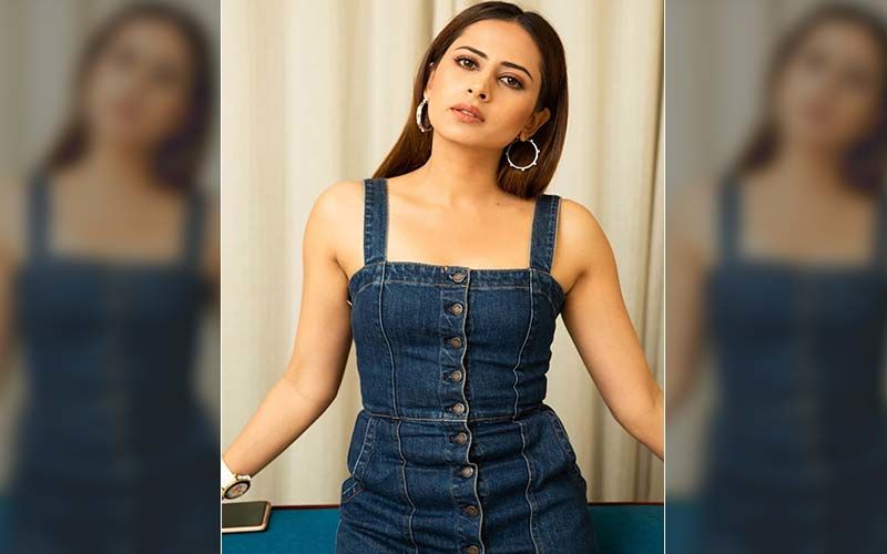 Sargun Mehta Looks Stunning In Grey Printed Sarre, Shares Jaw-Dropping Pic