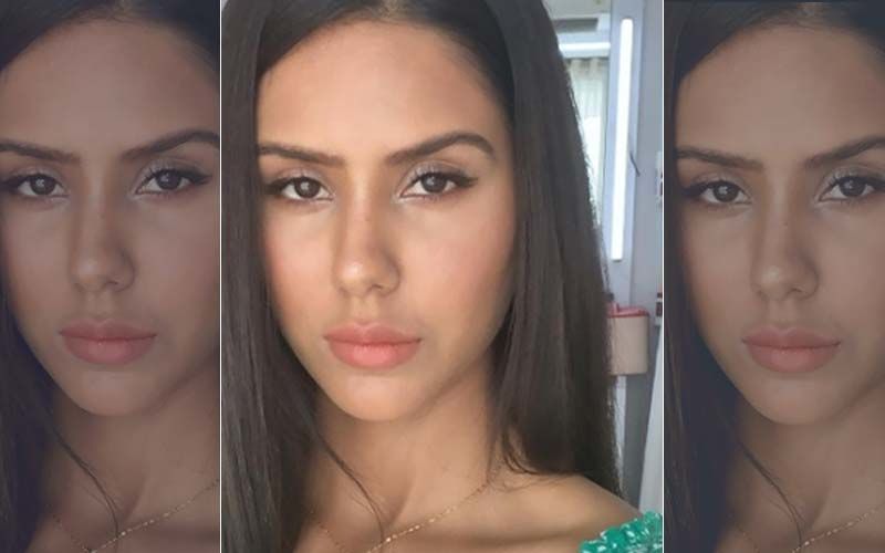 Sonam Bajwa Shares a Super-Glowy Selfie with No-Makeup Look, Proves She is Inherently HOT