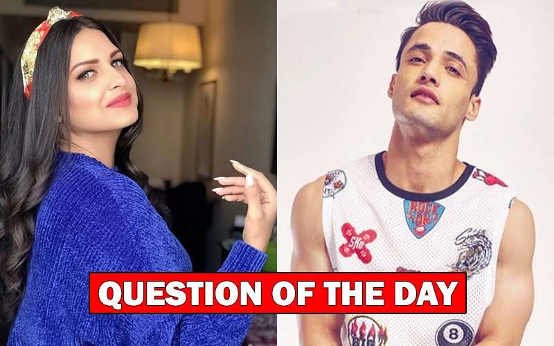 Bigg Boss 13: With Himanshi Khurana Entering The House, Do You Think The Lady Will Finally Confess Her Love To Asim Riaz?
