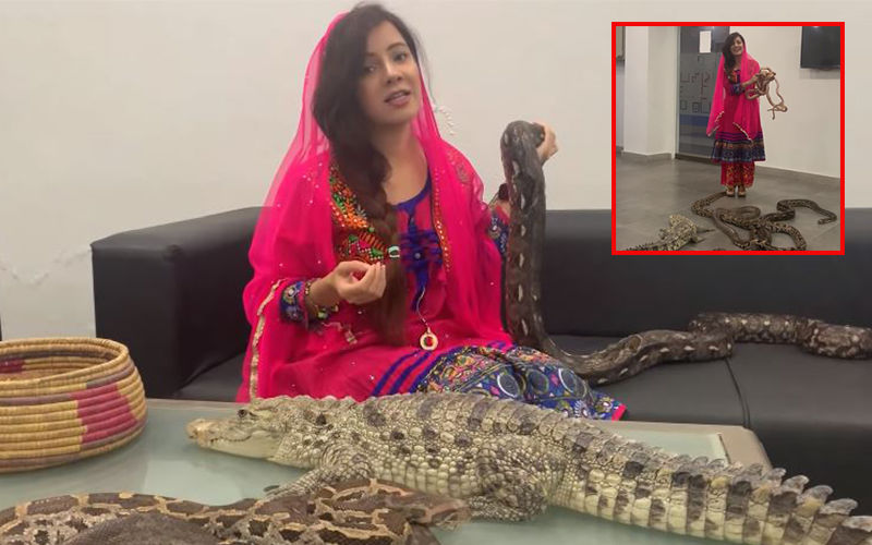 Pakistani Actress Rabi Pirzada Threatens To Attack Indians And PM Narendra Modi With Snakes And Crocodiles After Abrogation Of Article 370