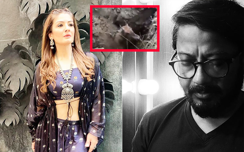 Nilgai Buried Alive: Raveena Tandon, Onir Appalled And Horrified By The Video; Express Their Outrage Over Animal Cruelty