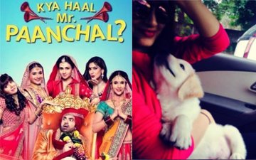 सेट पर कुत्ते के काटने से अब ये टीवी एक्ट्रेस हुई घायल, कई दिनों तक नहीं कर पाएंगी शूटिंग