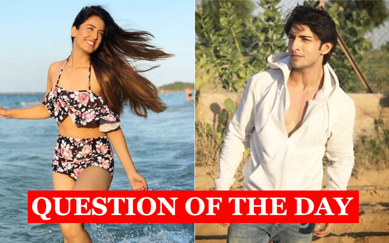 Are Srishty Rode And Rohit Suchanti In Love?