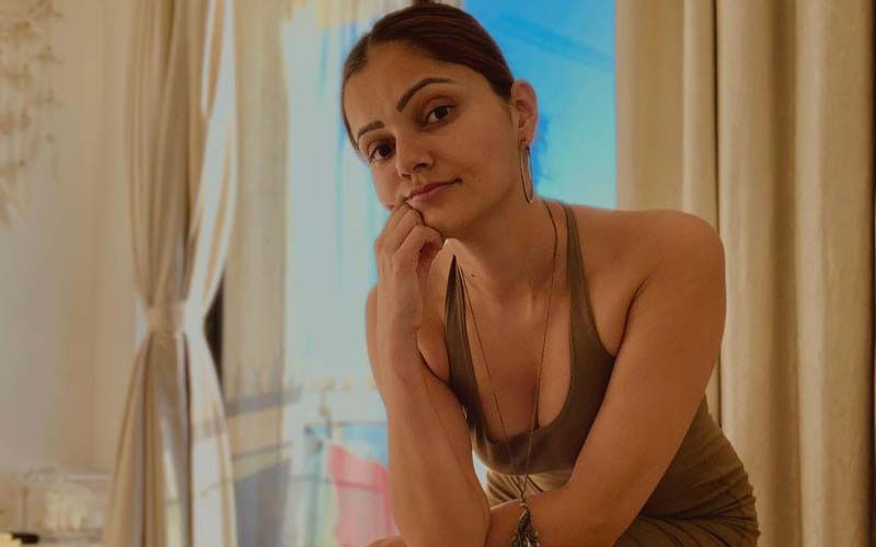 Bigg Boss 14: Rubina Dilaik Reveals Why She Stayed Away From Bollywood, 'A Big Director Wanted To Fart On My Face'