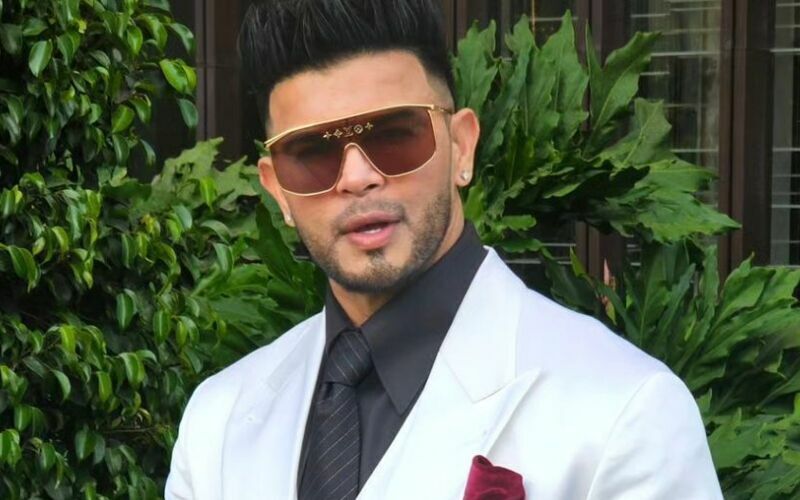 Lion Book Betting App Case: Sahil Khan Granted Bail After Court Says No Prima Facie Case Made Against The Actor- REPORTS