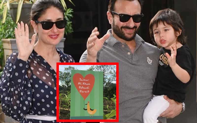 Happy Birthday Taimur Ali Khan: From A Forest to Mercedes McLaren; Here’s All Things Luxurious That Tim Tim Owns