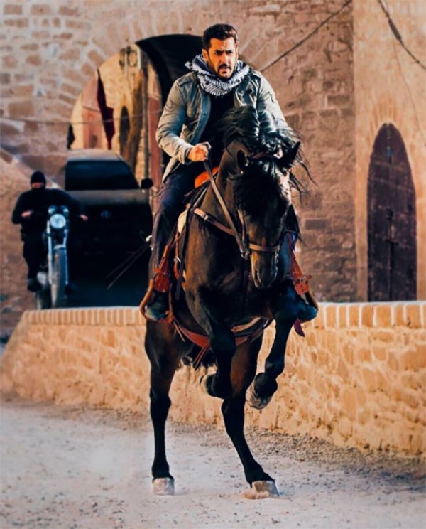 salman khan rides a horse in tiger zinda hai