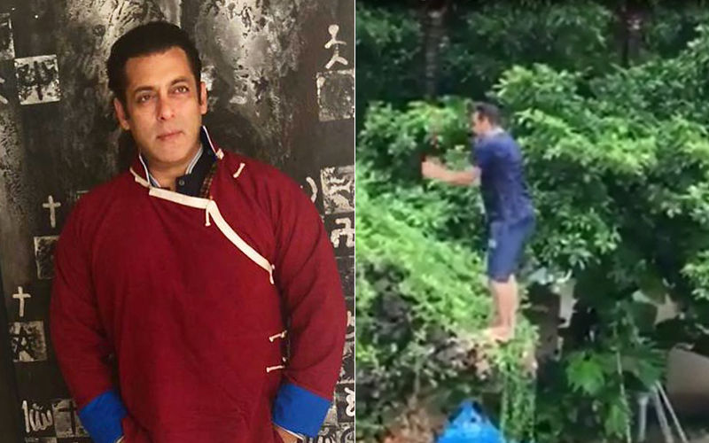 Salman Khan Does The Back Flip Into The Pool And We Can’t Keep Calm- Watch Video