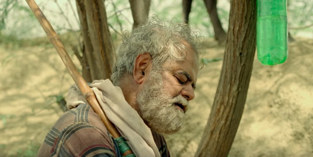 sanjay mishra in kadvi hawa