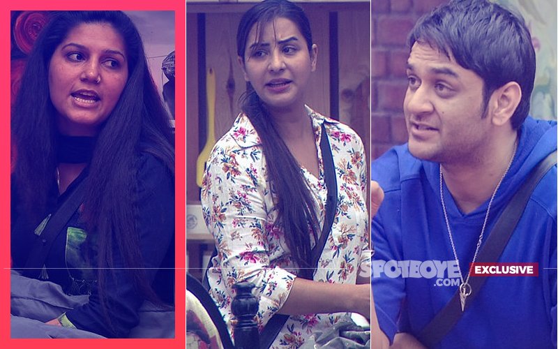 Bigg Boss 11's Sapna Choudhary: Shilpa Shinde Is THANKLESS, Vikas Gupta is HEARTLESS