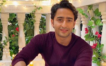 Coronavirus Lockdown: Yeh Rishtey Hai Pyaar Ke's Shaheer Shaikh Shares An Informative Video For People Stepping Out Of The House