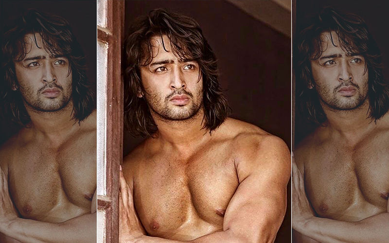 Shaheer Shaikh Birthday Special: 5 Times The Chocolate Boy Made Us Fall For Him
