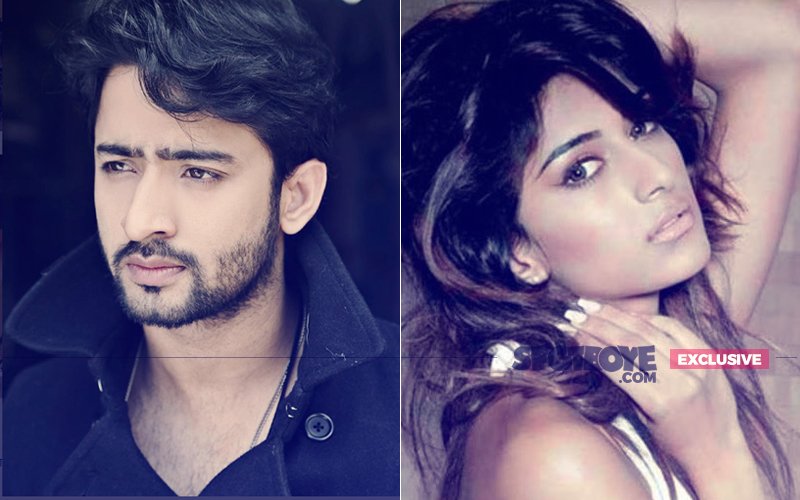 Shaheer Sheikh Targets Journalist For Leaking His Hot Scene With 'Girlfriend' Erica Fernandes