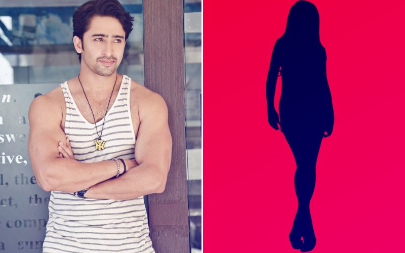 Hunk Shaheer Sheikh Will ROMANCE This TV Hottie In His Next Show