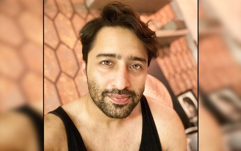 Shaheer Sheikh Juggles Between Kuch Rang Pyaar Ke Aise Bhi 3 and Pavitra Rishta 2, Keeps The Internet Busy