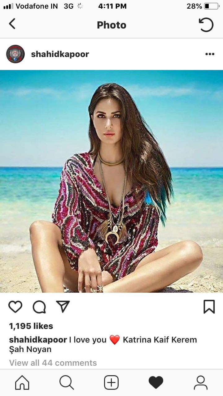 shahid account shahid account