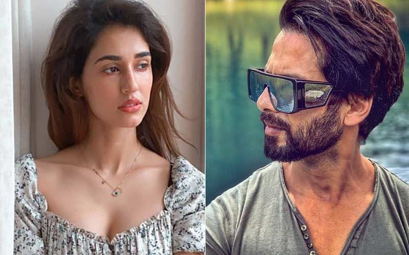 Shahid Kapoor-Disha Patani To Star In Shashank Khaitan’s Yoddha? Duo To Romance Each Other For The First Time