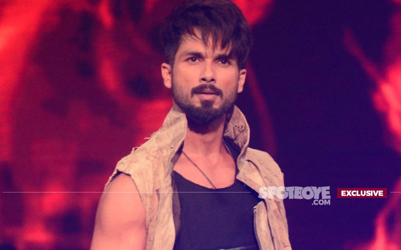 Why Did Shahid Kapoor Return From Goa MAD With ANGER?