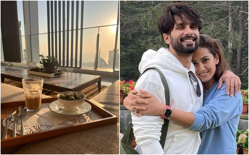 Shahid Kapoor Purchases A See-Facing Luxurious Apartment Worth 58 Crore; Check Out Inside Pictures And Videos