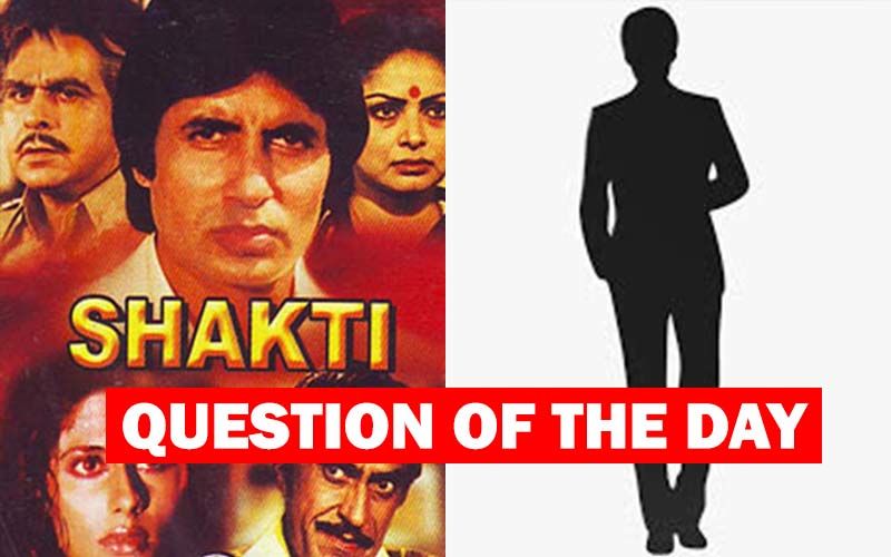 Shakti Remake: Who Would You Like To See In Amitabh Bachchan's Role?